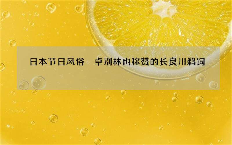 日本节日风俗 卓别林也称赞的长良川鹈饲